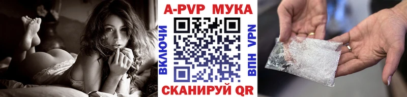 дарк нет как зайти  Чудово  A PVP СК  ссылка на мегу ссылки 