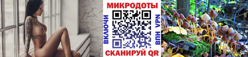 Галлюциногенные грибы Psilocybine cubensis Чудово