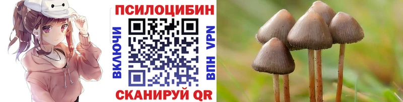 Галлюциногенные грибы мухоморы  сколько стоит  Чудово 
